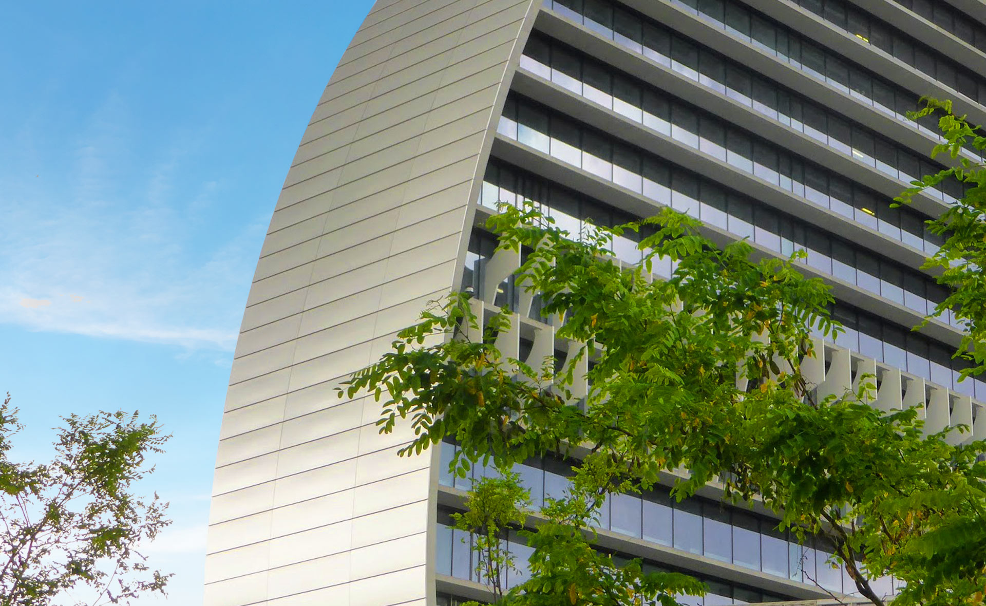 detalle_vela-claves-resultados-ciudad-bbva-arbol-