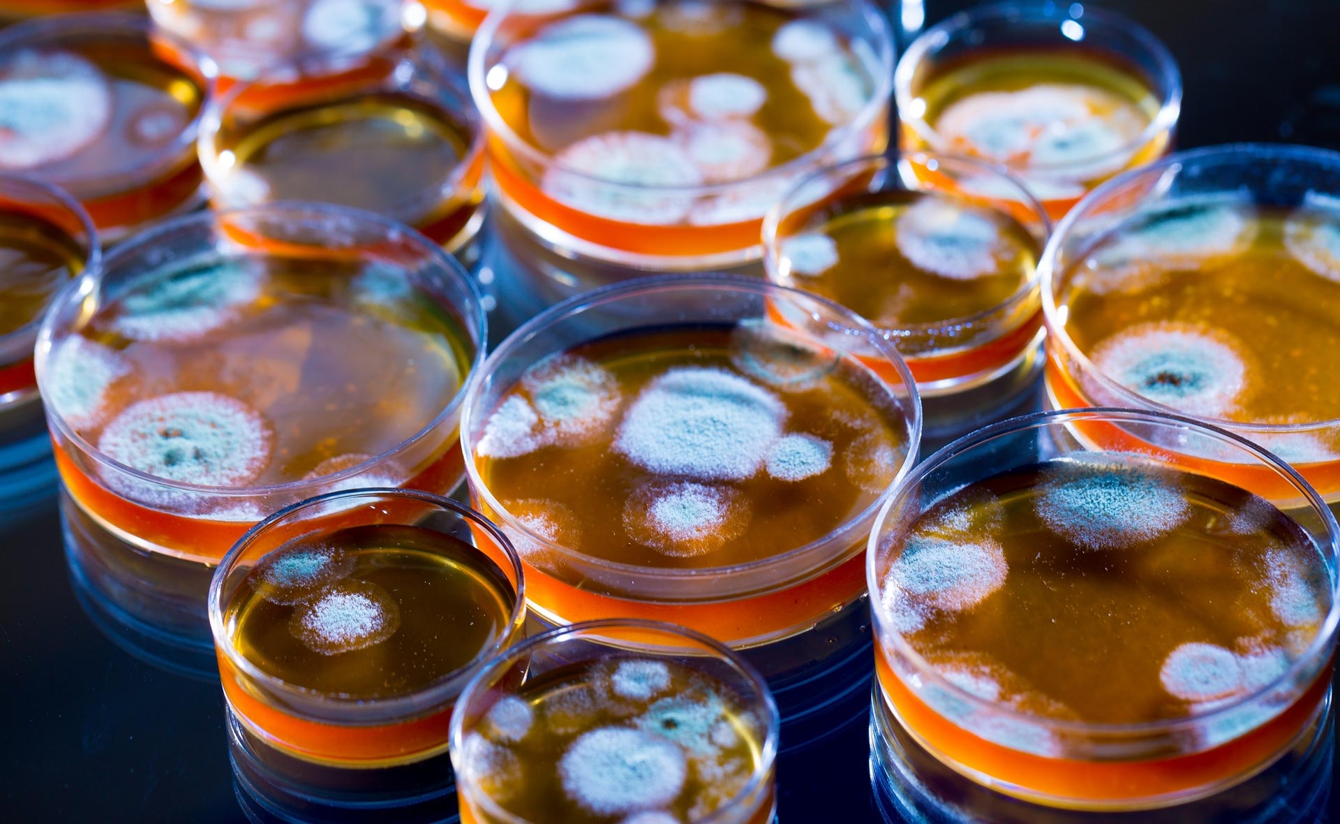 sostenibilidad-BBVA-biotecnología