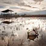 cambio-climático-planeta-temperatura-metosat-meterologia-clima-tierra