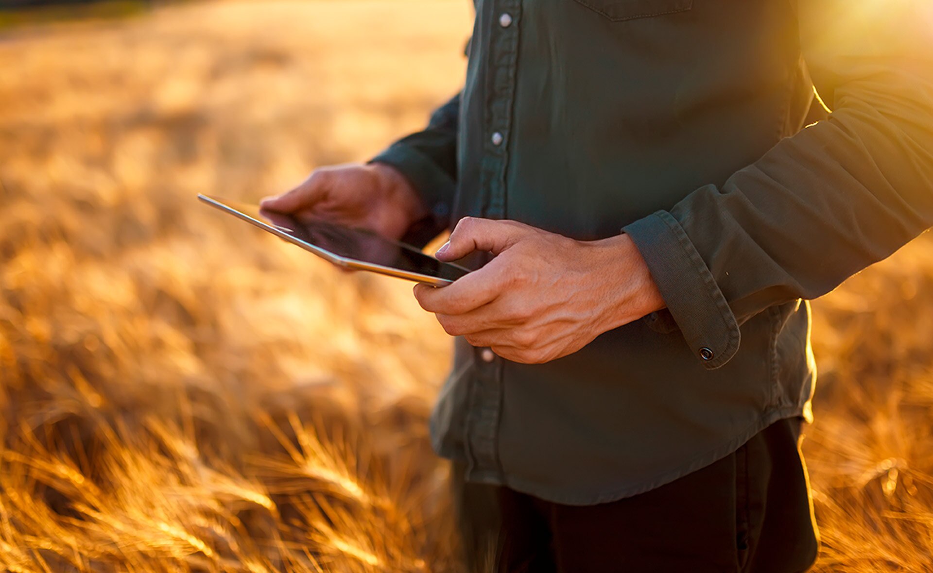 BBVA-Certificacion_LEAF-sostenibilidad-agricultores-medioambiente BBVA-Certificacion_LEAF-sostenibilidad-agricultores-medioambiente