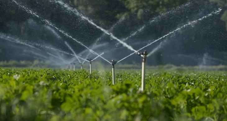 BBVA-huella-hidrica-int2-sostenibilidad-agua BBVA-huella-hidrica-int2-sostenibilidad-agua