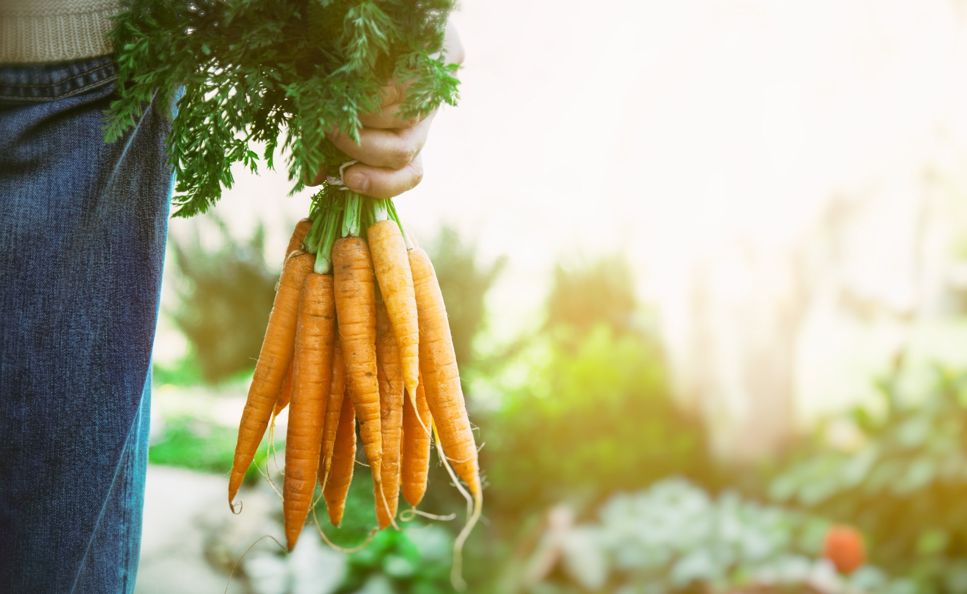 sostenibilidad-BBVA-productos-organicos-gastronomia-sostenible sostenibilidad-BBVA-productos-organicos-gastronomia-sostenible