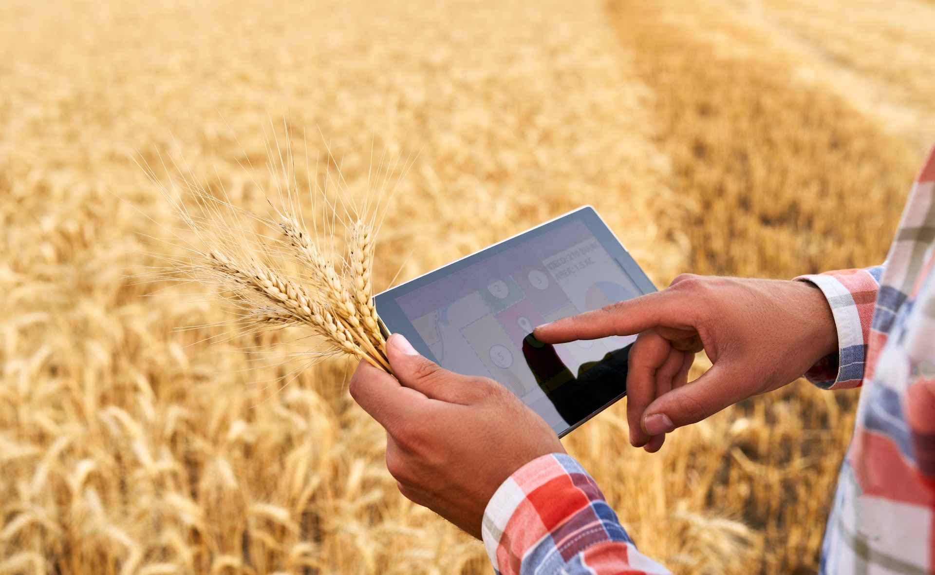 Agricultura-precision-sostenibilidad-bbva Agricultura-precision-sostenibilidad-bbva