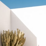 Arquitectura-sostenible-casas-ecológicas-bbva-Pablo-Farfán