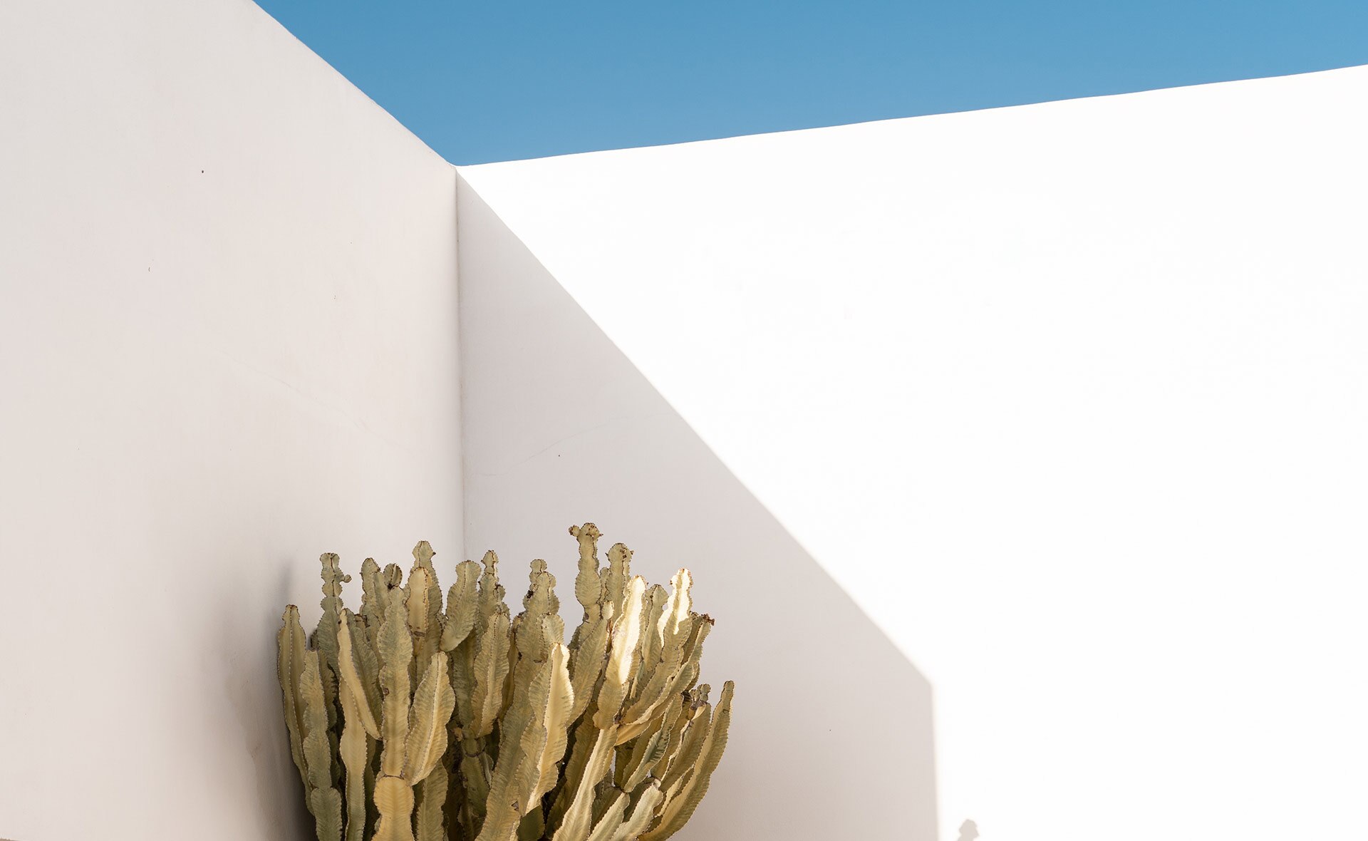 Arquitectura-sostenible-casas-ecológicas-bbva-Pablo-Farfán