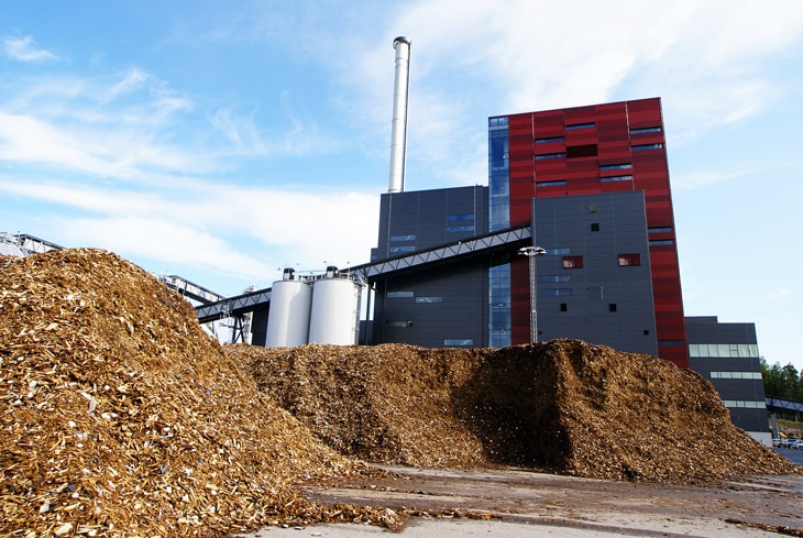 BBVA-biomasa-energia-tierra-sostenible-proceso-cultivo BBVA-biomasa-energia-tierra-sostenible-proceso-cultivo