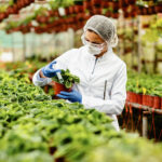 BBVA-biotecnología-agrícola-sostenibilidad-cultivo-agricultura-innovacion-terrenos