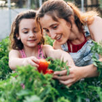 BBVA-cultivo-hortalizas-casa-sostenibilidad-futuro-alimentos-huertos-urbanos
