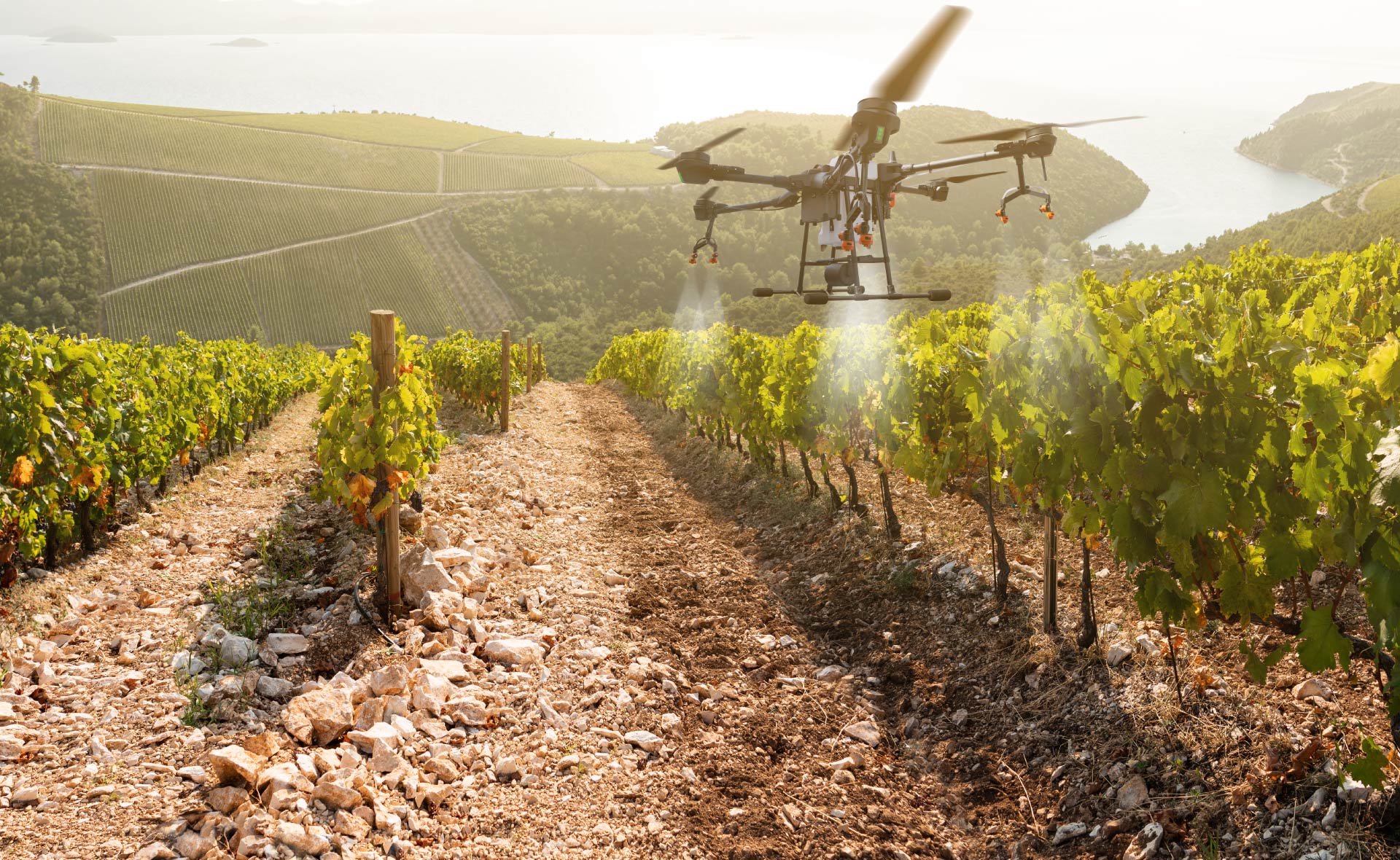 BBVA-sostenibilidad-agricultura-precision BBVA-sostenibilidad-agricultura-precision