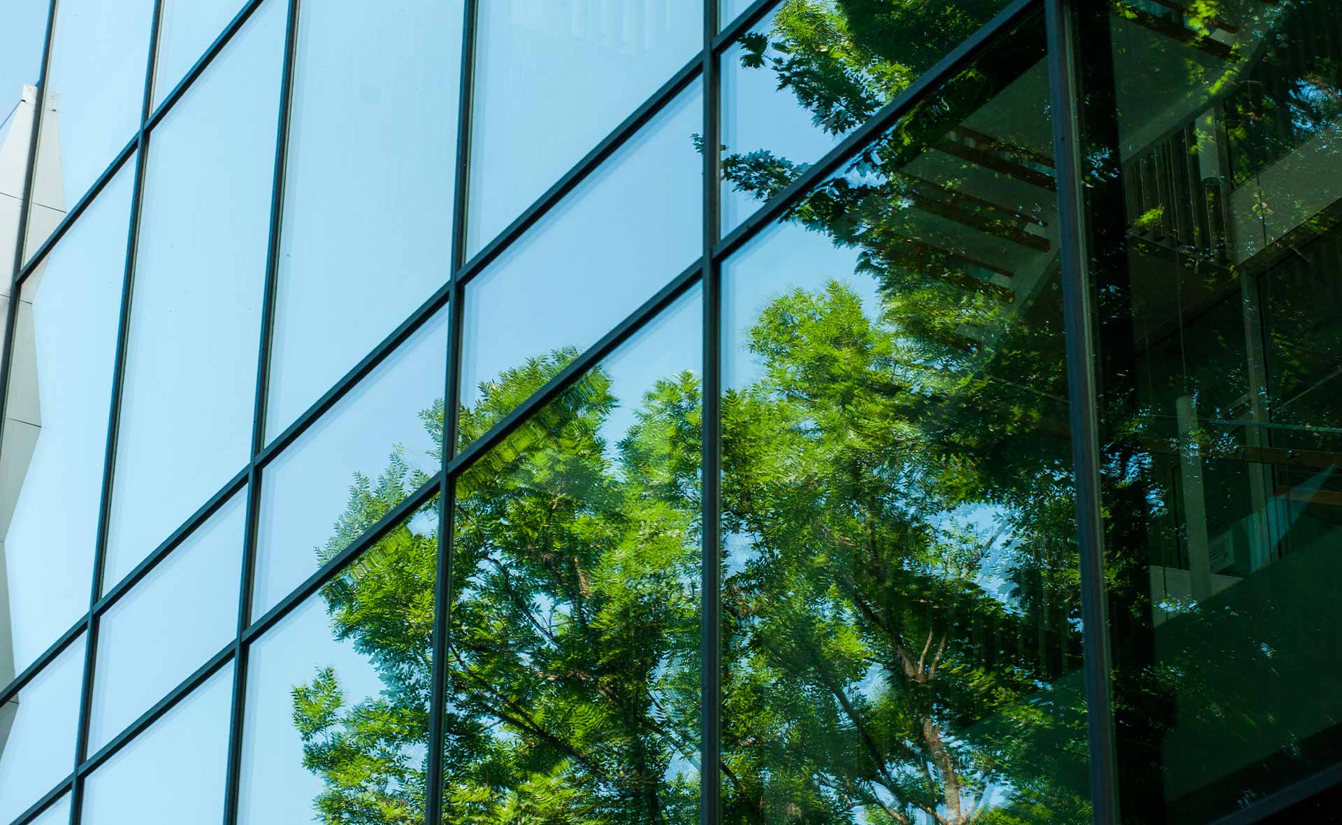 BBVA-sostenibilidad-finanzas-sostenibles-prestamos-bonos-verdes-empresas BBVA-sostenibilidad-finanzas-sostenibles-prestamos-bonos-verdes-empresas