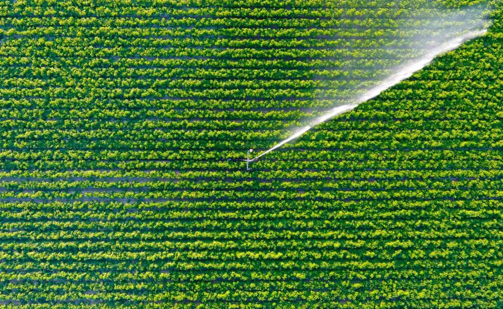 BBVA_Nuevas_tecnologias_escasez-agua_riego_eficientes-sostenibilidad-tierra-cultivos-proteccion-medioambiente-