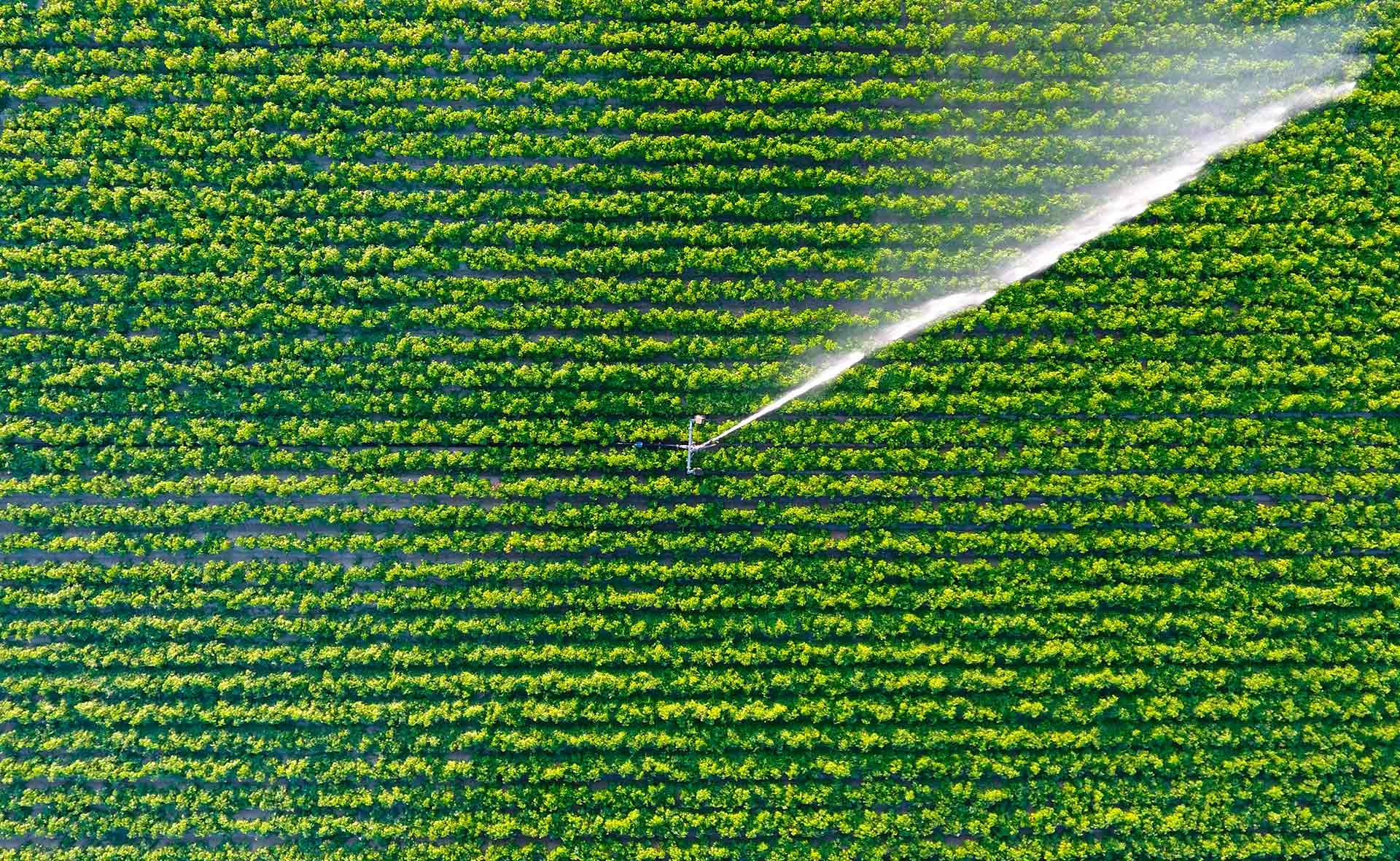BBVA_Nuevas_tecnologias_escasez-agua_riego_eficientes-sostenibilidad-tierra-cultivos-proteccion-medioambiente-