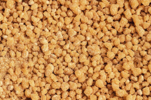 Lecitina-Soja-hongos-insecticidas-organicos-bbva-sostenibilidad