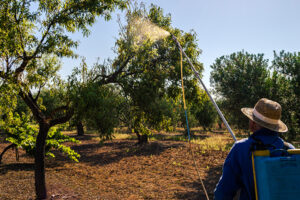 Sustancia-activa- COS-OGA-sostenibilidad-bbva-insecticidas
