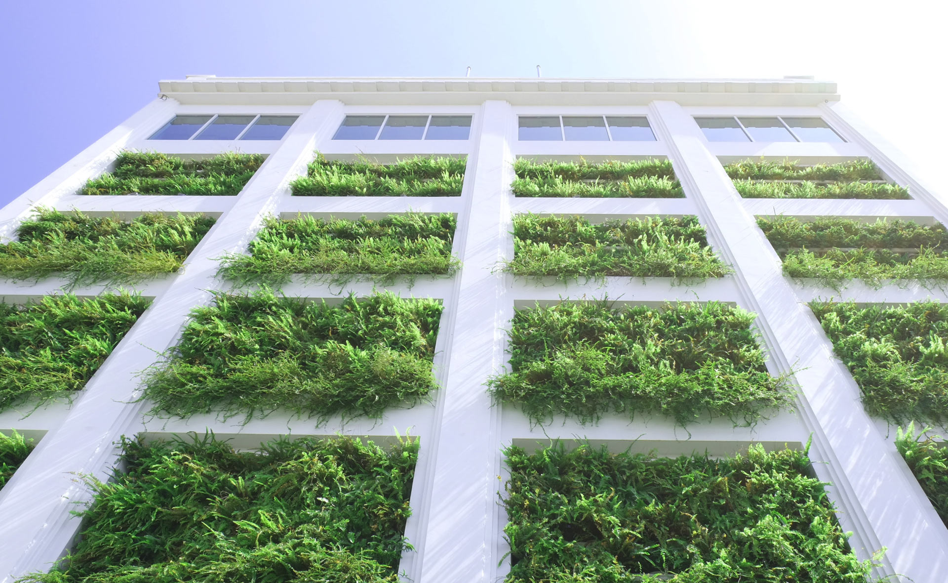 biomateriales-materiales-construccion-casas-sostenibilidad-renovables-sector-inmobiliario-cuidado-medioambiente-concienciacion