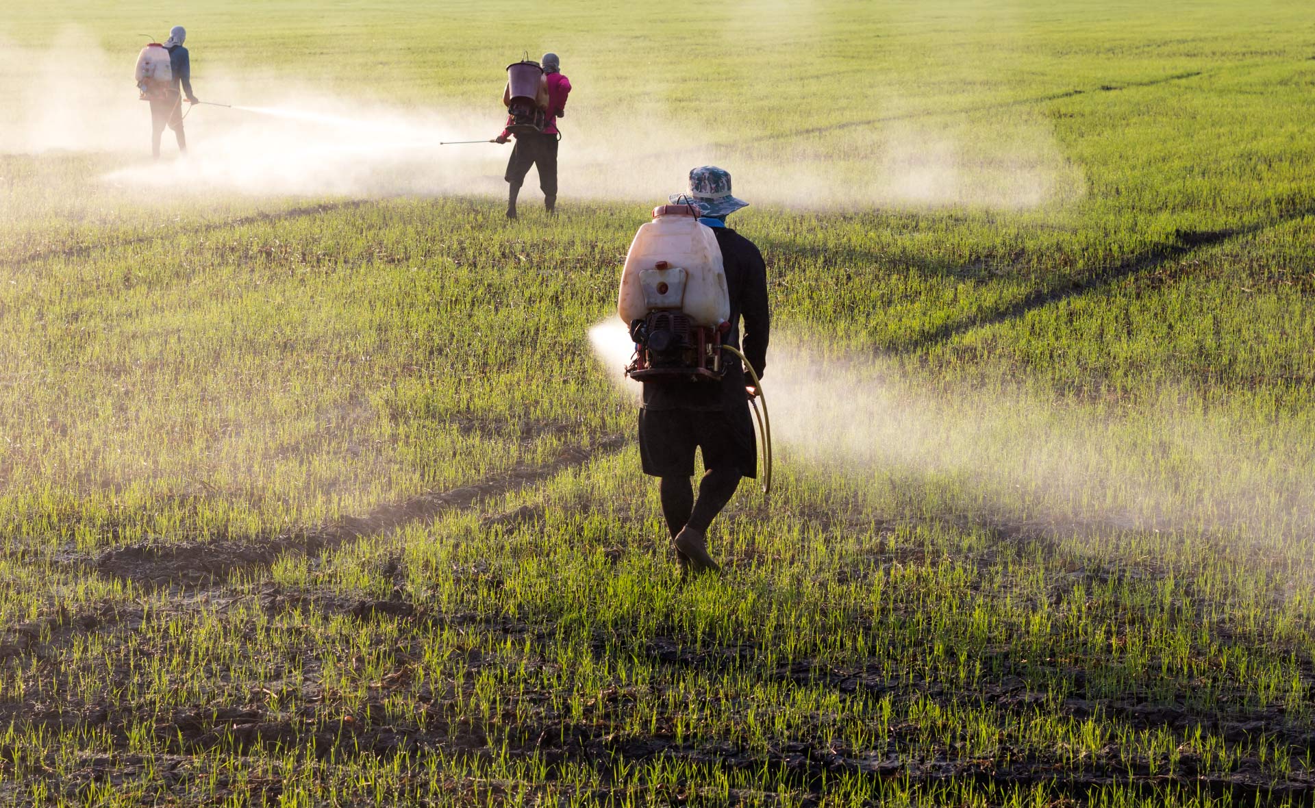 herbicida-ecologico-plagas-campo-cultivos-tractor-agricultura-sostenibilidad herbicida-ecologico-plagas-campo-cultivos-tractor-agricultura-sostenibilidad