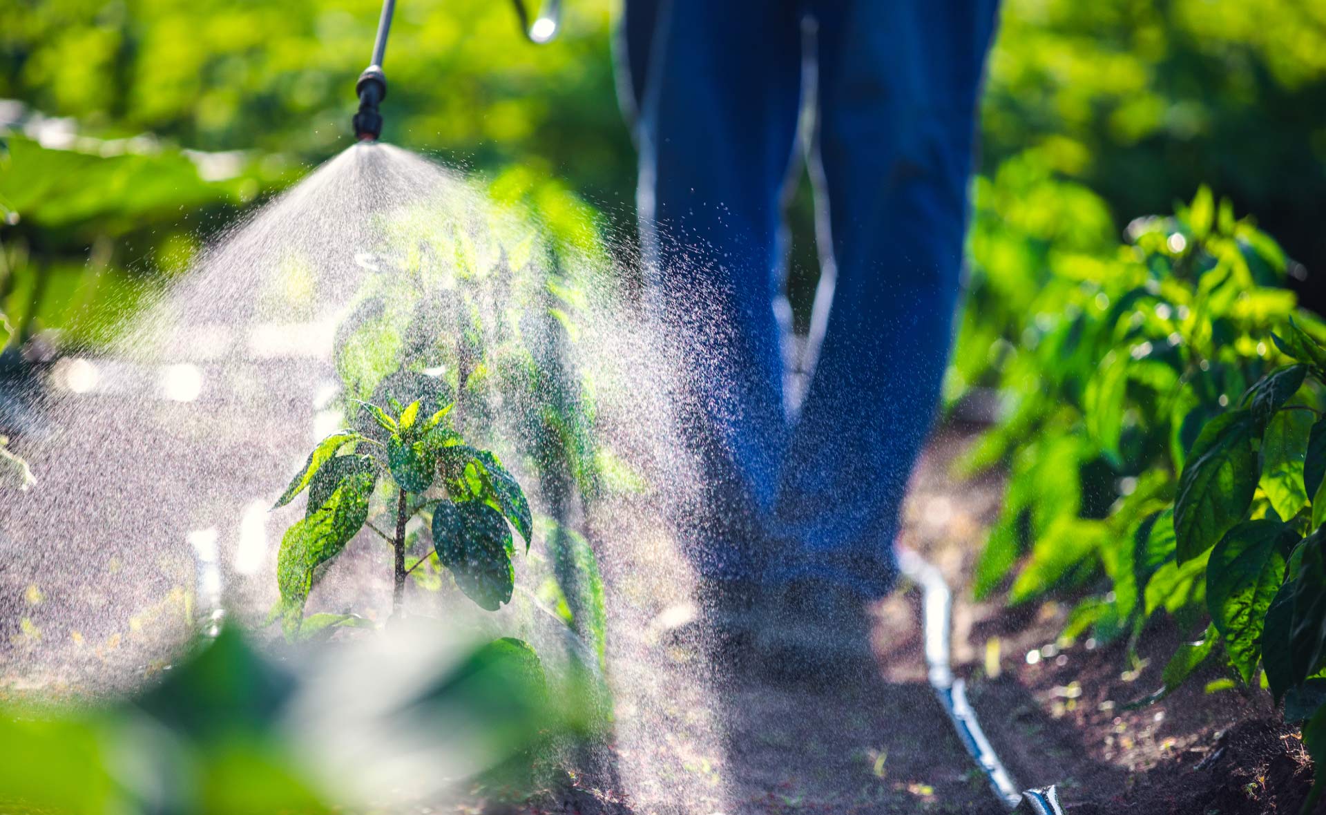 herbicida-ecologico-plagas-campo-cultivos-tractor-agricultura-sostenibilidad herbicida-ecologico-plagas-campo-cultivos-tractor-agricultura-sostenibilidad