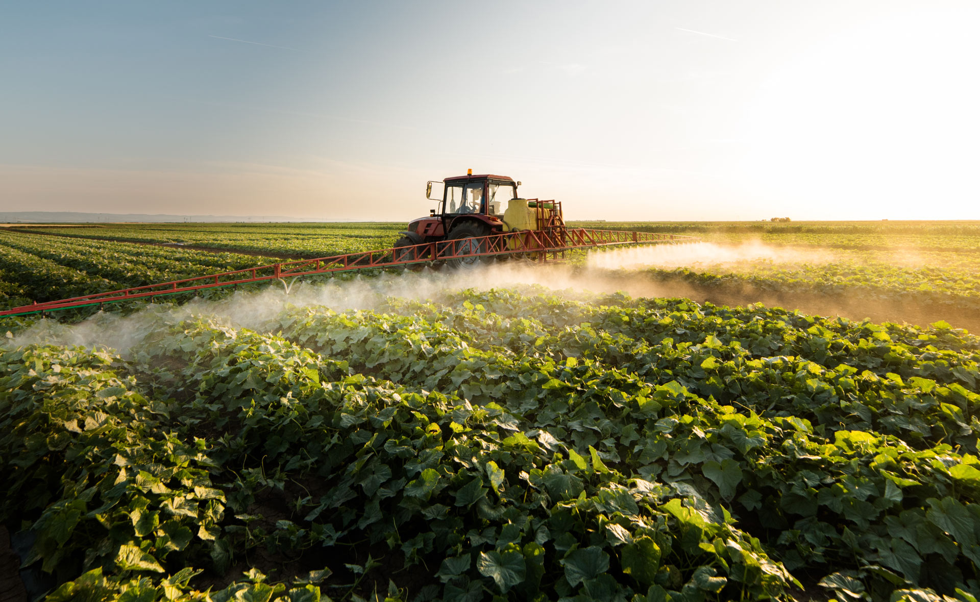 herbicida-ecologico-plagas-campo-cultivos-tractor-agricultura-sostenibilidad