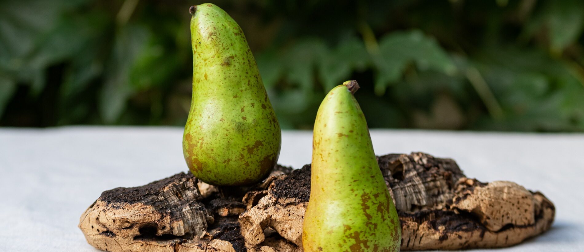 pera-producto-mes-septiembre-gastronomia-sostenible-bbva