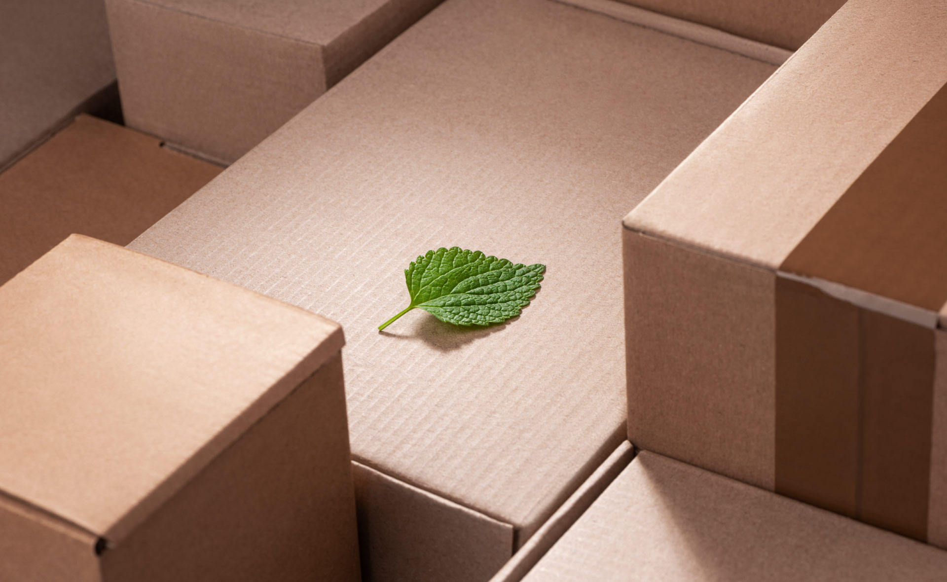 pymes-BBVA-ODS-SMES-climate-sostenibilidad pymes-BBVA-ODS-SMES-climate-sostenibilidad