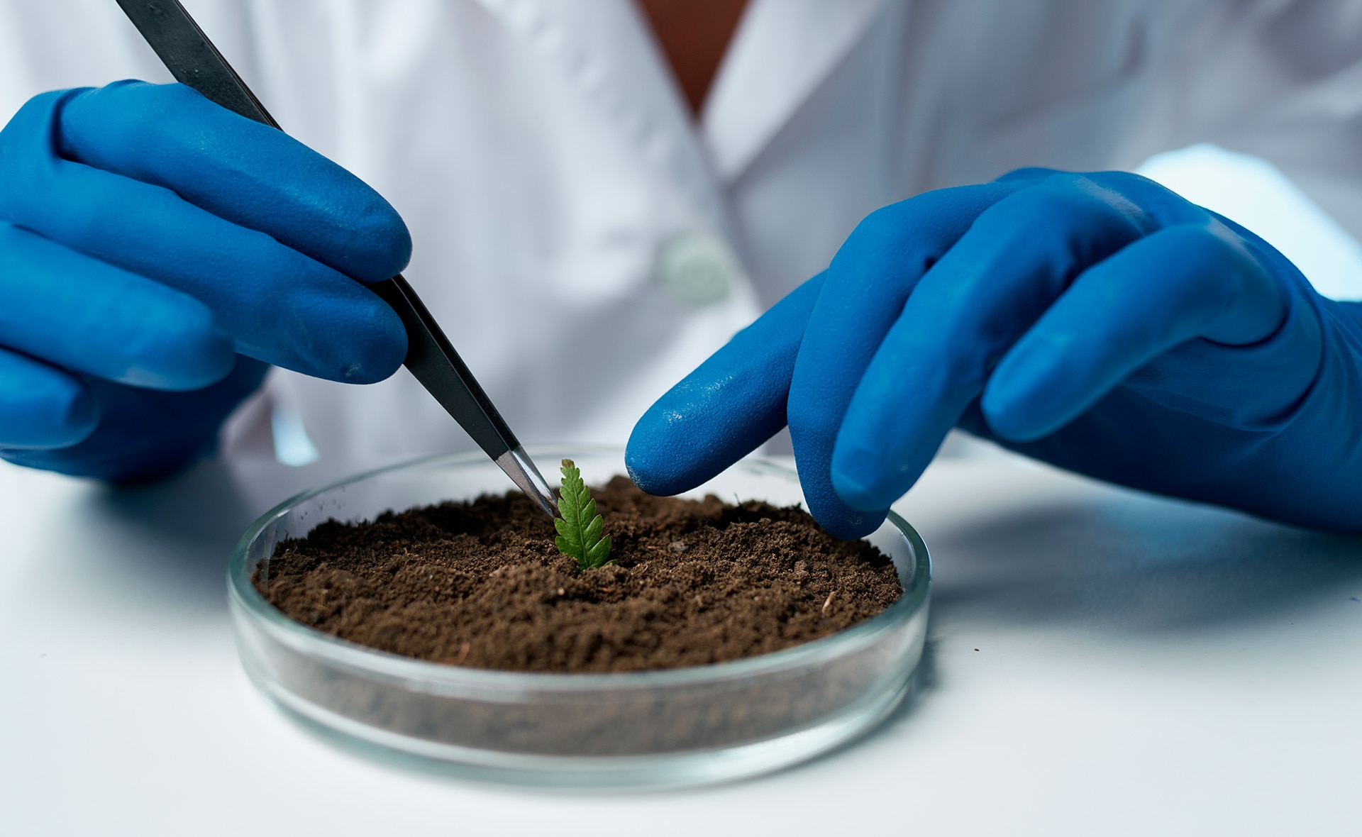 sostenibilidad-bbva-ciencia-ods-innovacion