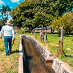 Peru-Emprendedores (1)-sostenibilidad-campo-naturaleza-pymes