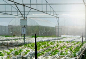 BBVA-aguas_residuales-sostenibilidad-agricultura-riego-plantaciones