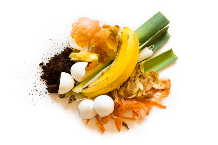 BBVA-compost-casero-huerto-alimentos-saludables-sostenibilidad-comida-ingredientes-sanos