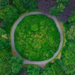 BBVA-economia-ecologica-naturaleza-sostenibilidad BBVA-economia-ecologica-naturaleza-sostenibilidad