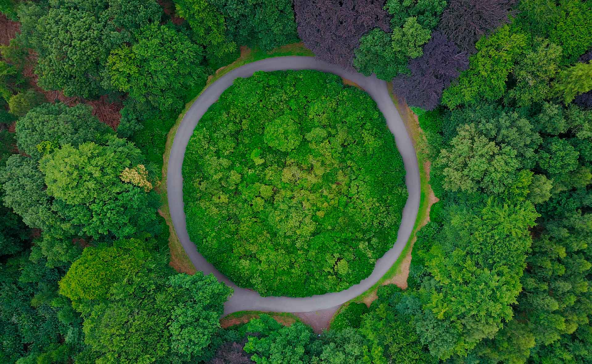 BBVA-economia-ecologica-naturaleza-sostenibilidad