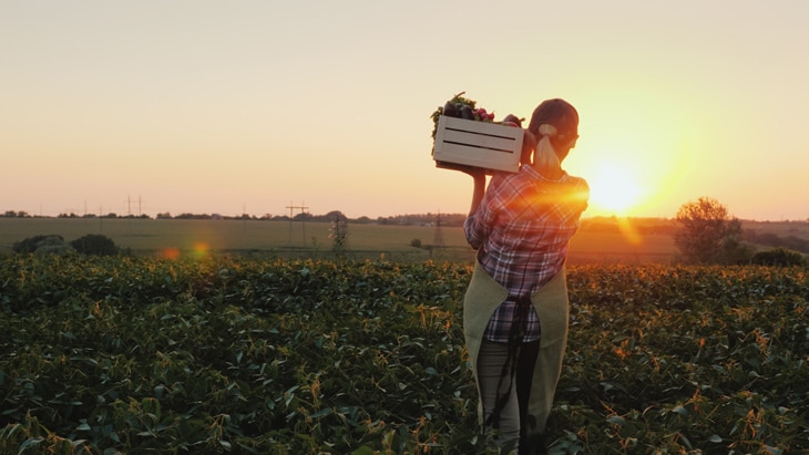 BBVA-sostenibilidad-PYMES-climate-HUB BBVA-sostenibilidad-PYMES-climate-HUB