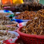BBVA-sostenibilidad-insectos-gastronomia-alimentacion-sostenible