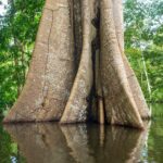 inundaciones_españa_latinoamarica_subida-mar-peligro-medioambiente-sostenibilidad-BBVA