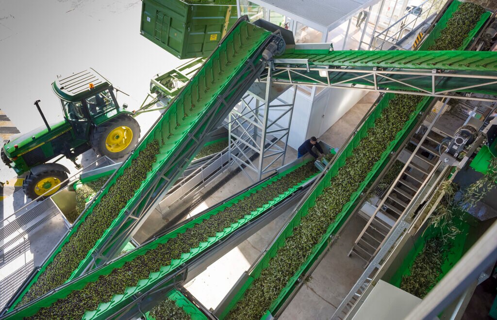 Aceites-Garcia-laCruz-Toledo-productor-sostenible-bbva-pymes-descarbonizacion Aceites-Garcia-laCruz-Toledo-productor-sostenible-bbva-pymes-descarbonizacion