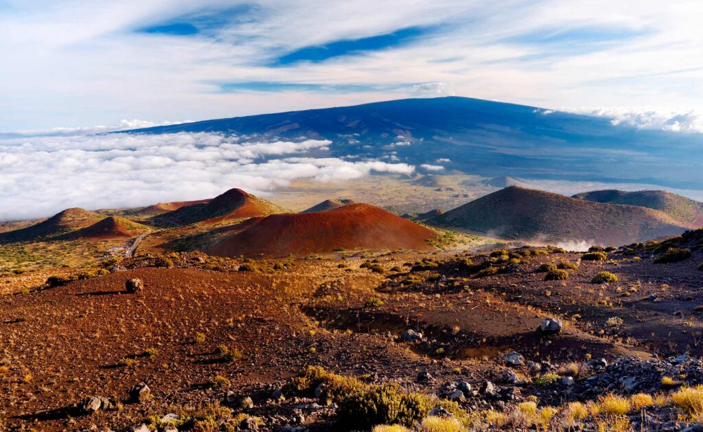 BBVA-Laboratorio_de_Monitorizacion_Global-sostenibilidad-bbva-cambio-climatico-planeta-cuidado-medioambiente-regulacion BBVA-Laboratorio_de_Monitorizacion_Global-sostenibilidad-bbva-cambio-climatico-planeta-cuidado-medioambiente-regulacion