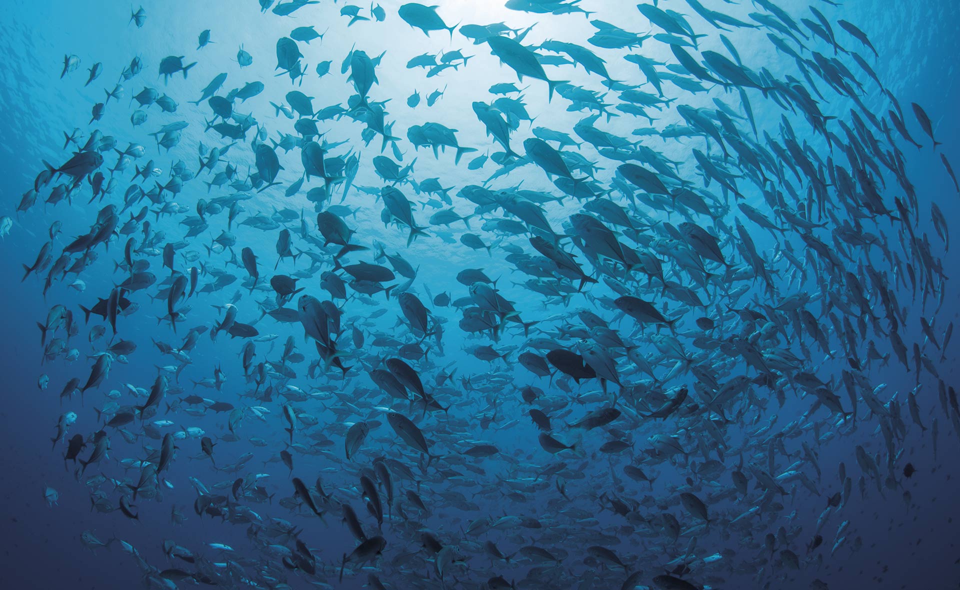 BBVA-Podcast_Edufin-Bonos_azules-sostenibilidad-finanzas-educacion-financiera-oceanos-ecosistemas-marinos BBVA-Podcast_Edufin-Bonos_azules-sostenibilidad-finanzas-educacion-financiera-oceanos-ecosistemas-marinos