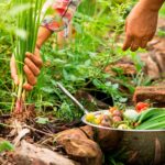 BBVA-futuro_huertos_ecologicos-sostenibilidad-cultivos-alimentos-hogar-artesanal