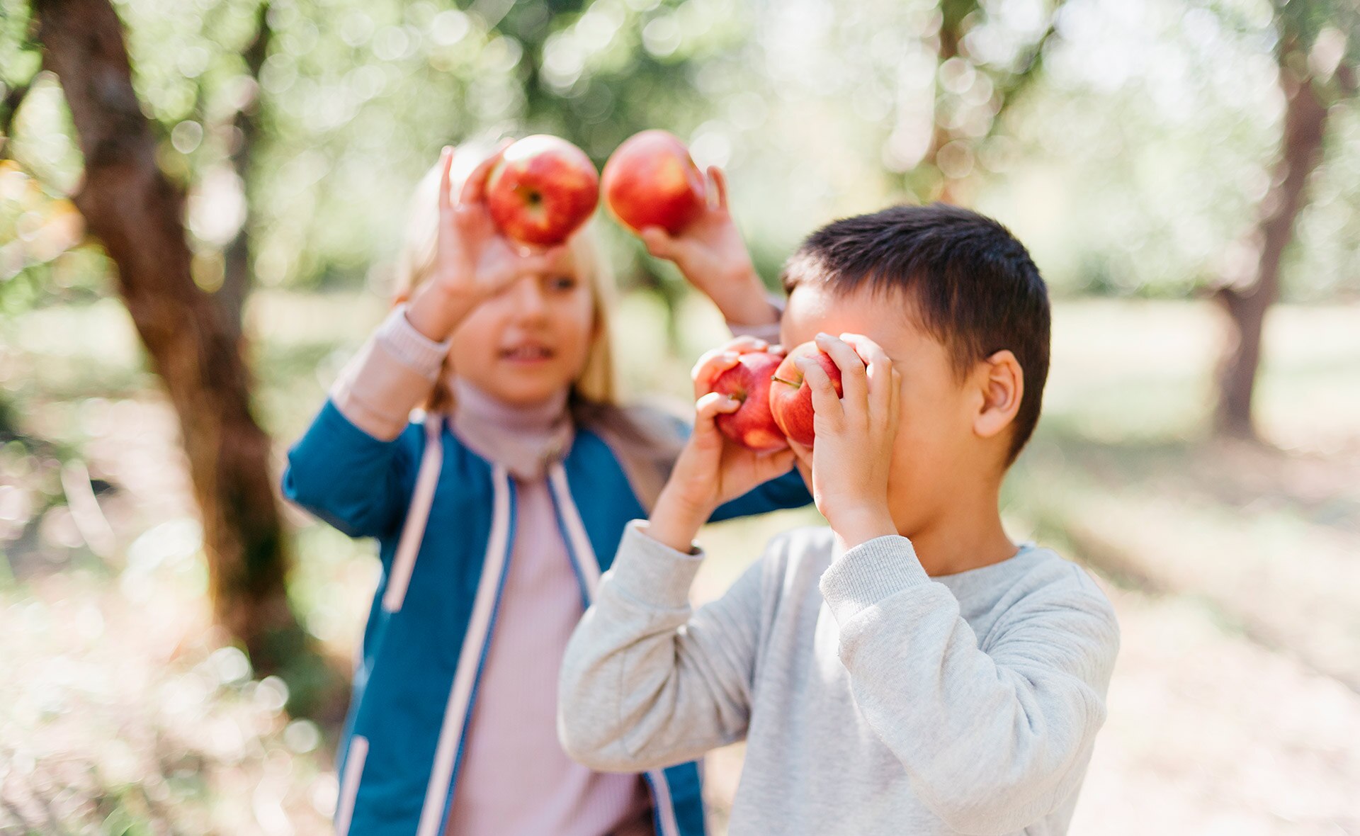 BBVA-futuro_huertos_ecologicos-sostenibilidad-cultivar-plantaciones-hogar-niños-educacion-manzanas-fruta BBVA-futuro_huertos_ecologicos-sostenibilidad-cultivar-plantaciones-hogar-niños-educacion-manzanas-fruta