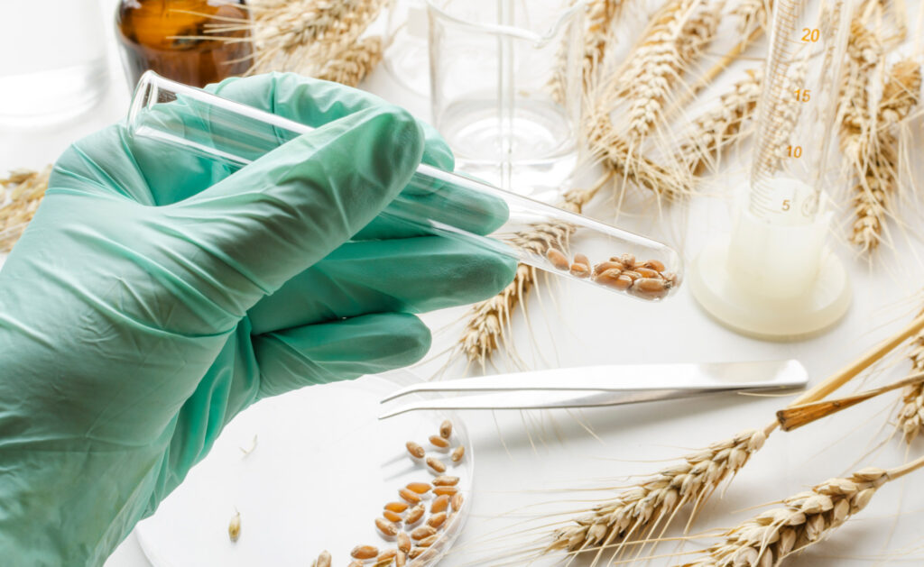 Qué es la biotecnología alimentaria? Conoce sus características