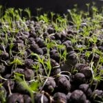 ecording-mujer-emprendedora-Turquia ecording-mujer-emprendedora-Turquia