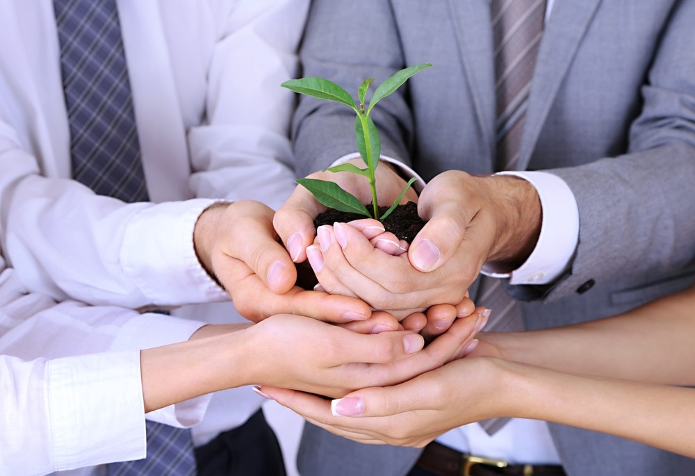 empresas sostenibles mx empresas sostenibles mx