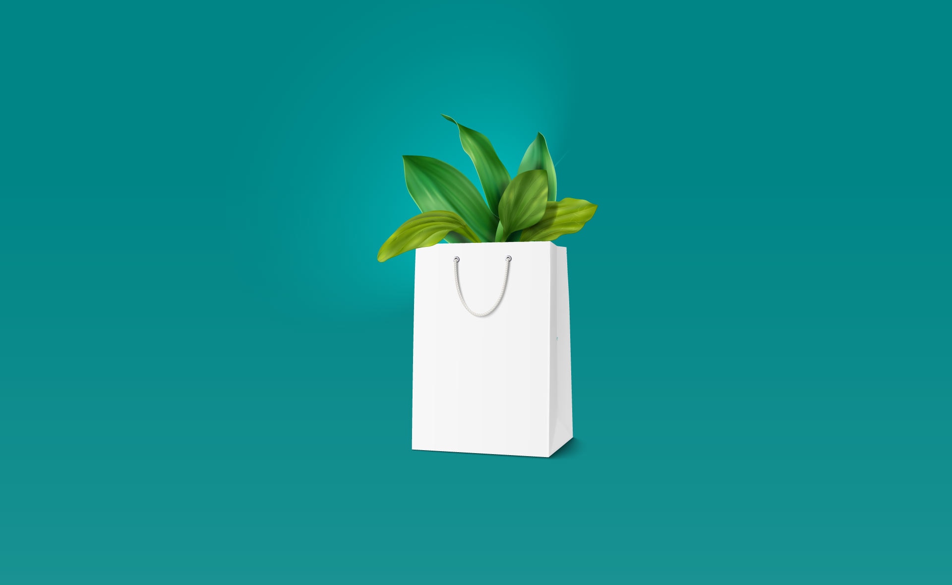 green_friday-viernes-verde-sostenibilidad-consumo-responsable-COMPRAS green_friday-viernes-verde-sostenibilidad-consumo-responsable-