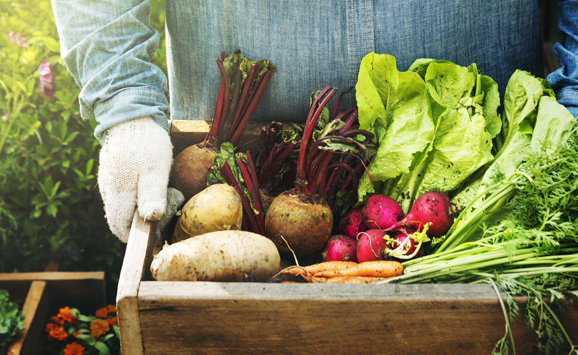 sabores-olvidados-gastronomia-sostenibilidad-BBVA-sembrando-futuro sabores-olvidados-gastronomia-sostenibilidad-BBVA-sembrando-futuro
