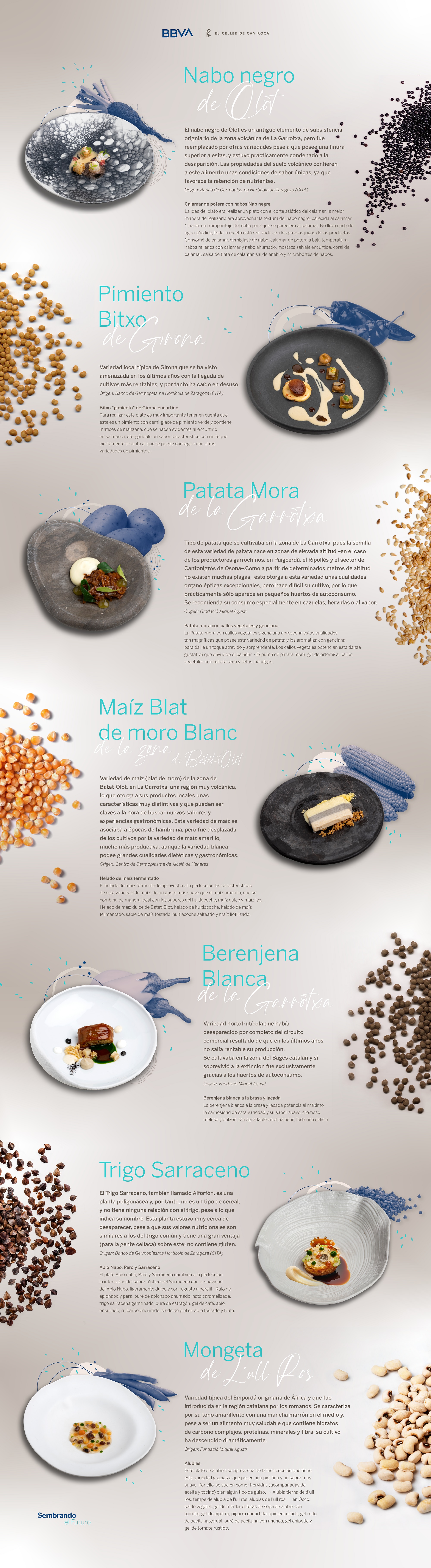 sembrando-el-futuro-menu-infografia-completa-BBVA-celler-can-roca