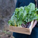 BBVA-alimentos-temporada-invierno-sostenibilidad-gastronomia-sostenible