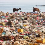 BBVA-plastico-oceanos-mares-contaminacion-sostenibilidad-cuidado-planeta