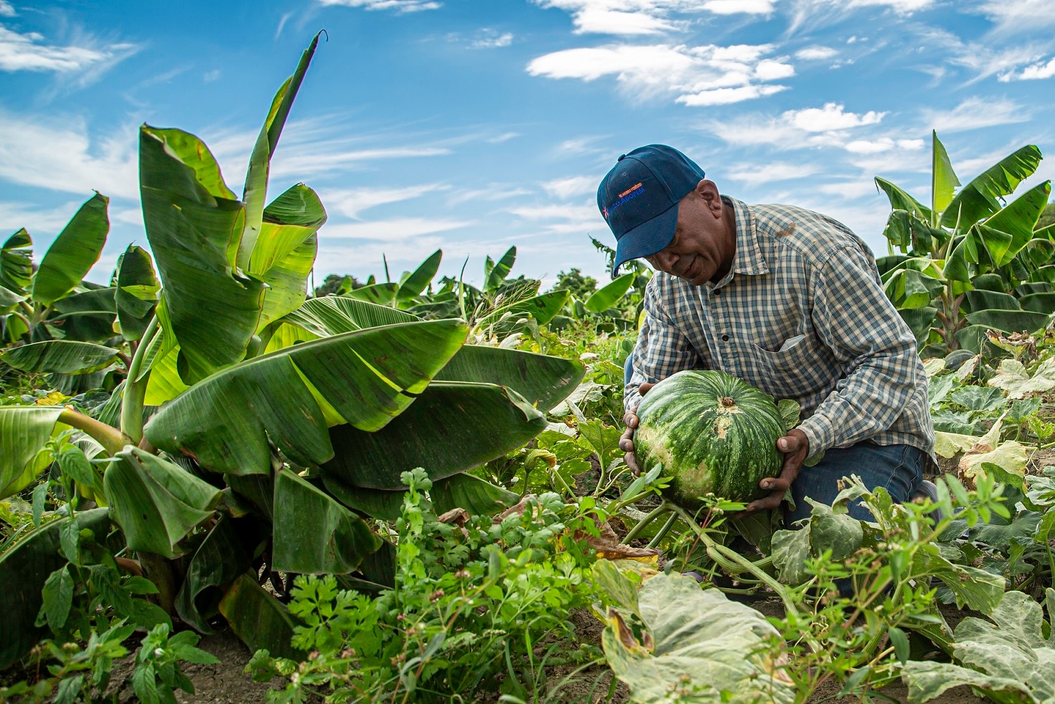 Geudis Tejeda, emprendedor dominicano FMBBVA