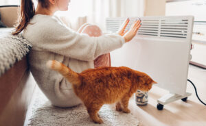 RADIADOR_ELECTRICO_gato-animales-mascota-casa-hogares-calor-frio-calefaccion-