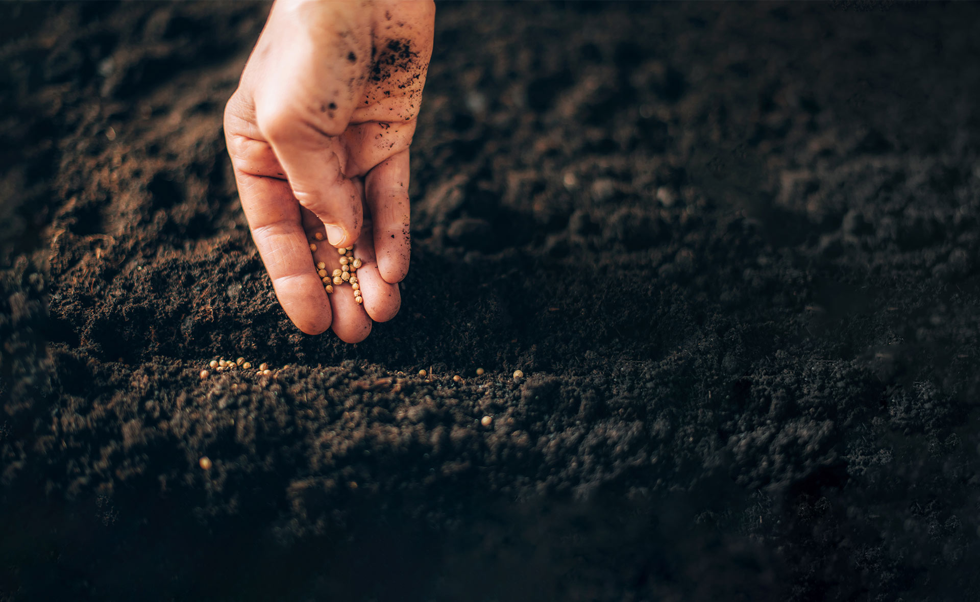 abonos_organicos_sostenibilidad-abono-cultivo-mano-proteccion-planeta-tierra abonos_organicos_sostenibilidad-abono-cultivo-mano-proteccion-planeta-tierra