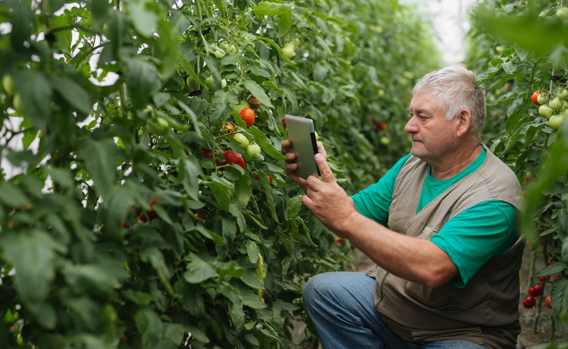 agribusiness_sostenibilidad-agricultura-campo-